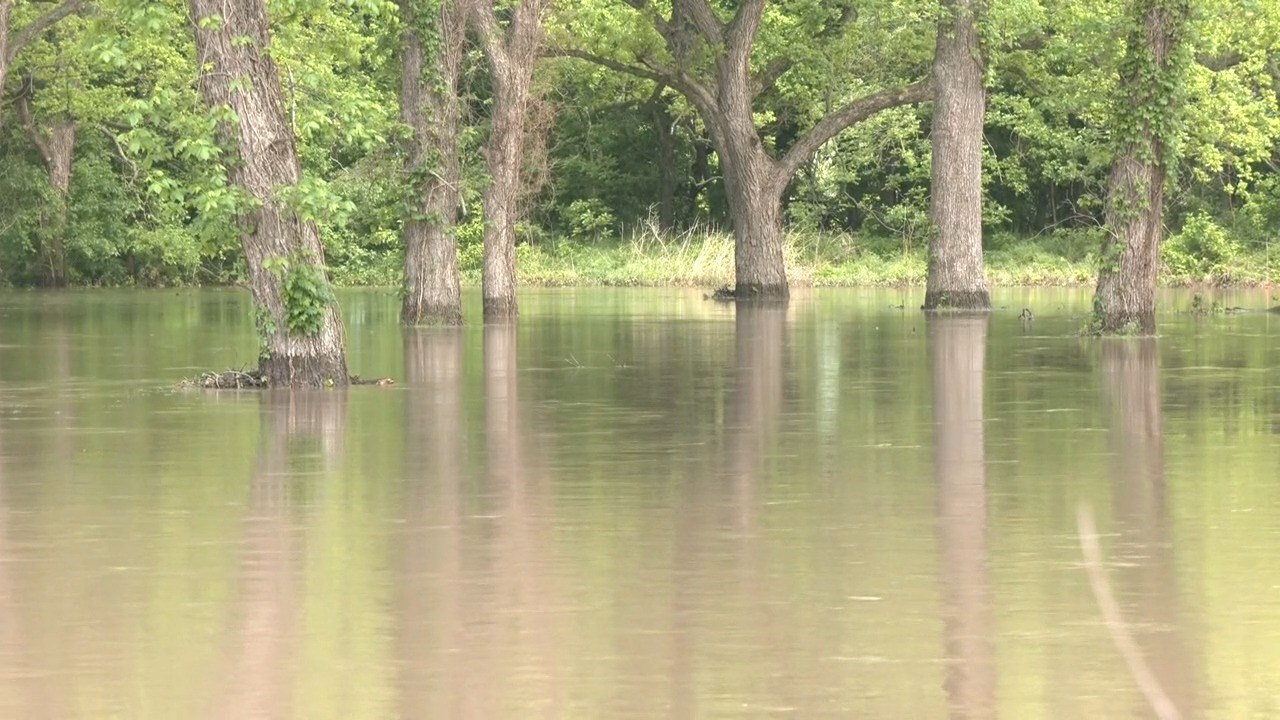 Large flooding in areas of Johnston County after Saturday storms – KTEN [Video]