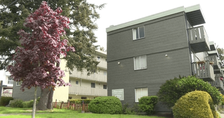 Tenants facing displacement from B.C. apartment say renoviction protections not working – BC [Video]