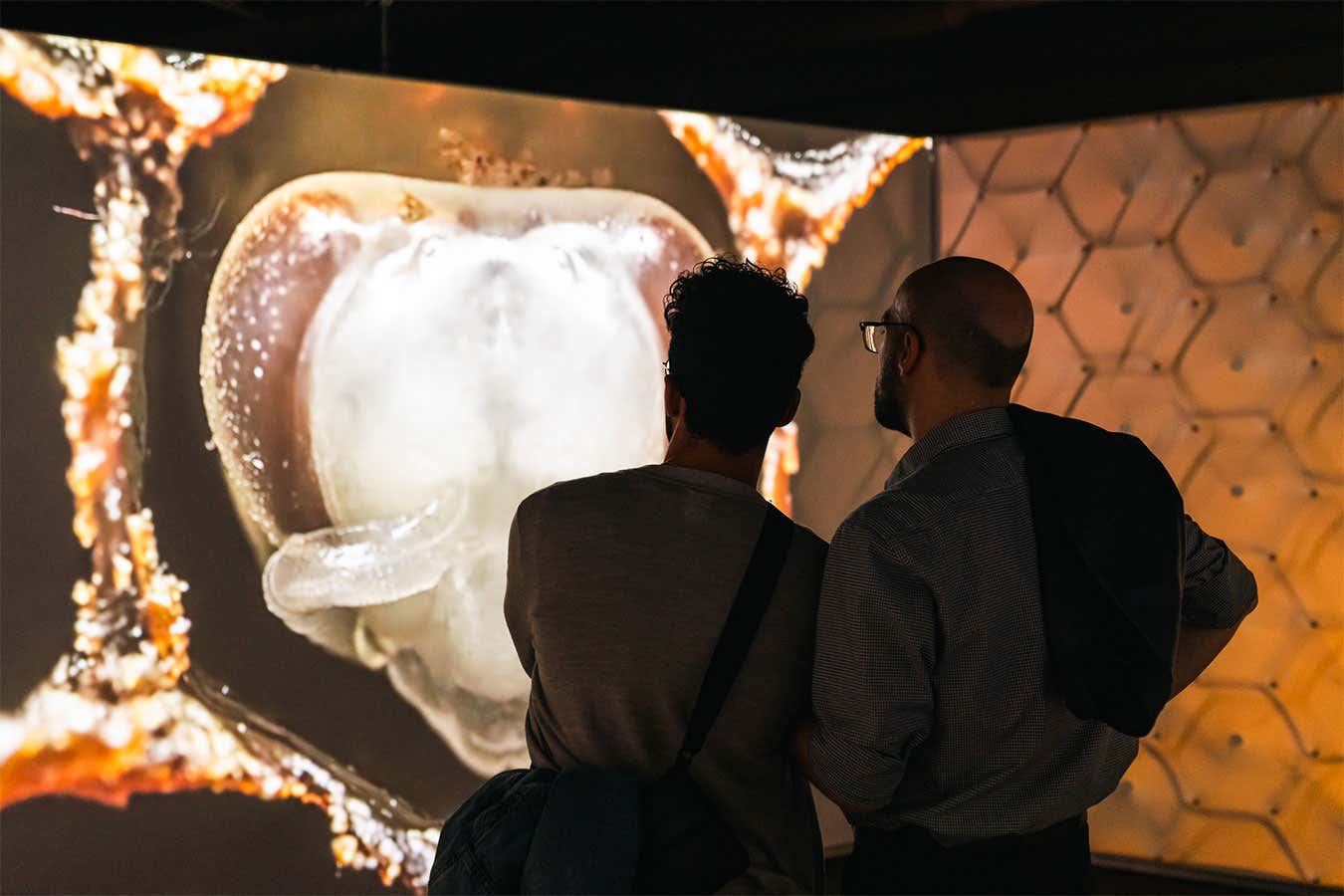 Wolfgang Buttress’s exhibition Bees: A Story of Survival allows you to experience the world as a bee [Video]