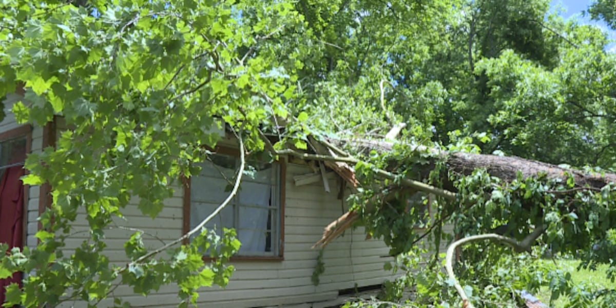Severe weather leaves trail of destruction in Franklin Parish [Video]
