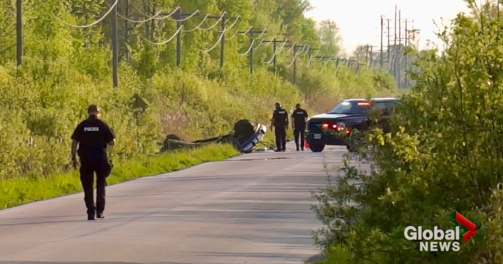 Man dies in crash outside Lindsay, Ont.: police – Peterborough [Video]