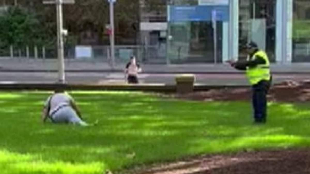Sydney CBD stabbing: Watch the chilling moment police confront a man armed with a knife moments after he allegedly stabbed one of their colleagues in Hyde Park [Video]