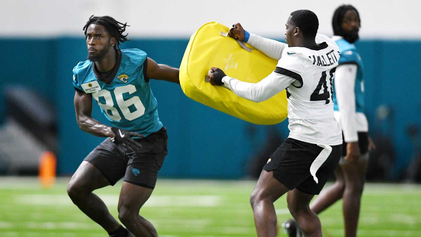 Jags rookie WR David White Jr. tore his ACL [Video]
