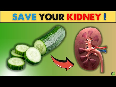Watch now! Just a little simple changes in daily diet can increase your kidney health|Health Journey [Video]
