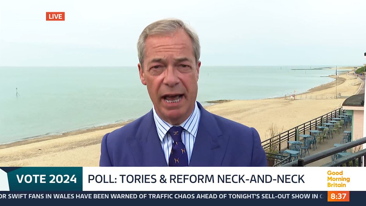 Furious Tories urge Rishi Sunak to launch personal attacks on Nigel Farage instead of ‘ludicrously’ acting as if he is Lord Voldemort [Video]