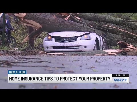 WATCH | Storm insurance policy breakdown: What you need to know [Video]