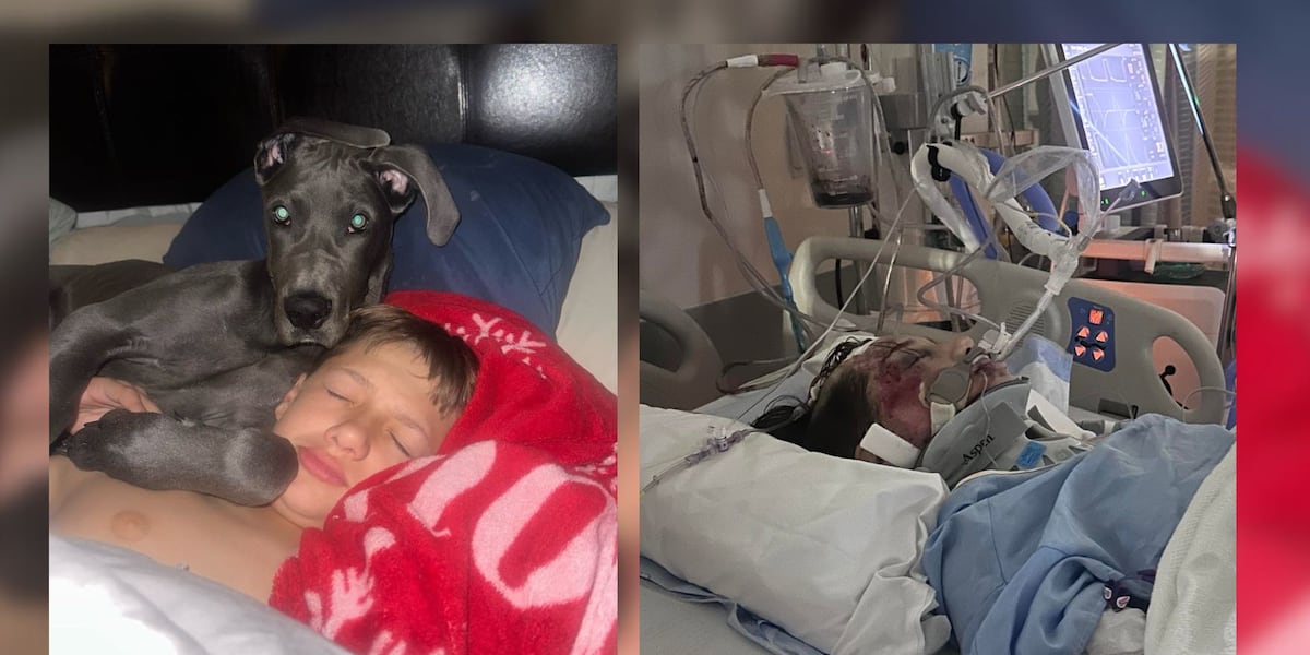Boy, 12, breathing on his own, out of ICU weeks after being hit by truck on Fathers Day [Video]