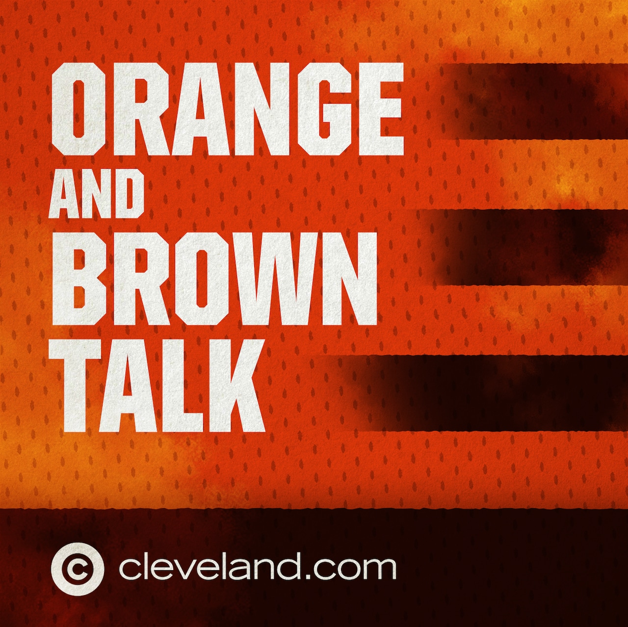 Why Grant Delpit is so important for the Browns defense: Orange and Brown Talk [Video]
