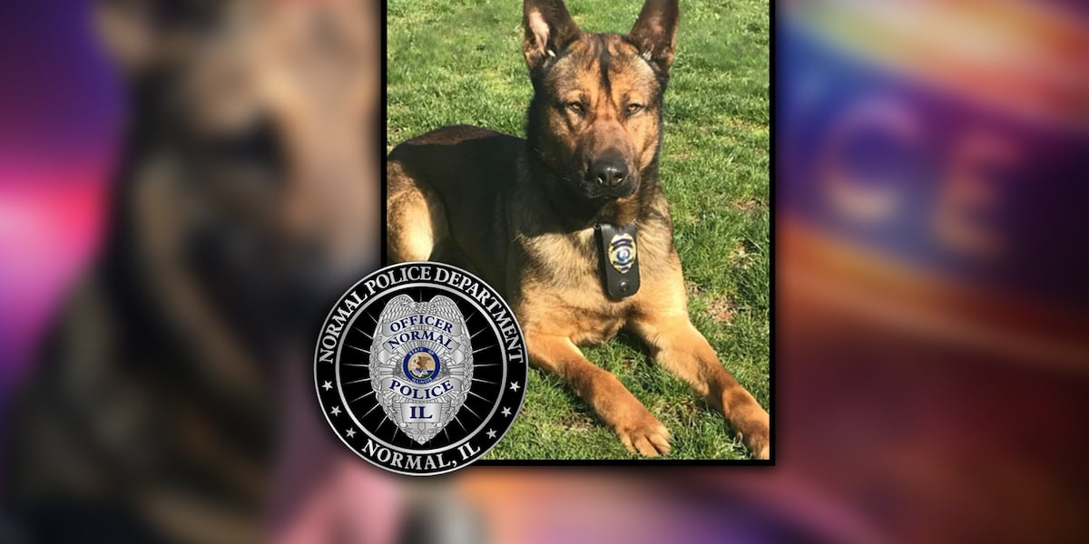 Normal Police K-9 retiring after more than 7 years [Video]