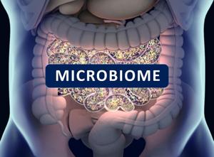 Unhealthy Microbiome May Raise Death Risk After Organ Transplant [Video]