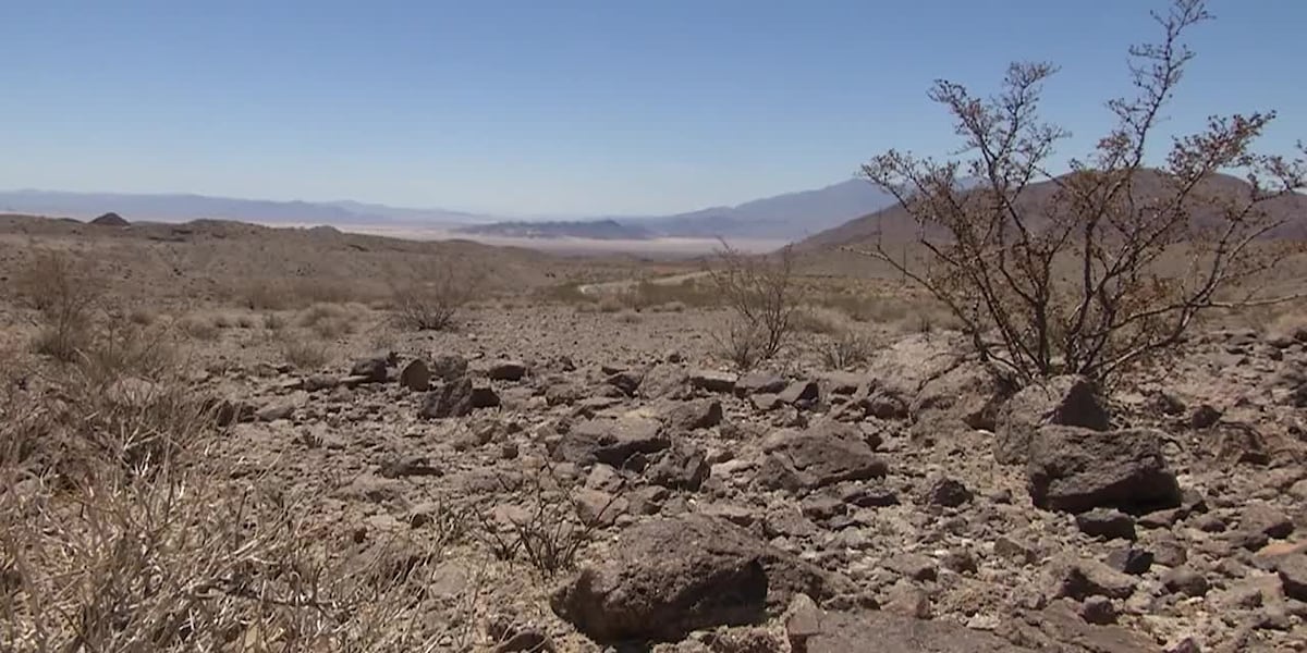 Extreme heat is causing bizarre things to happen [Video]