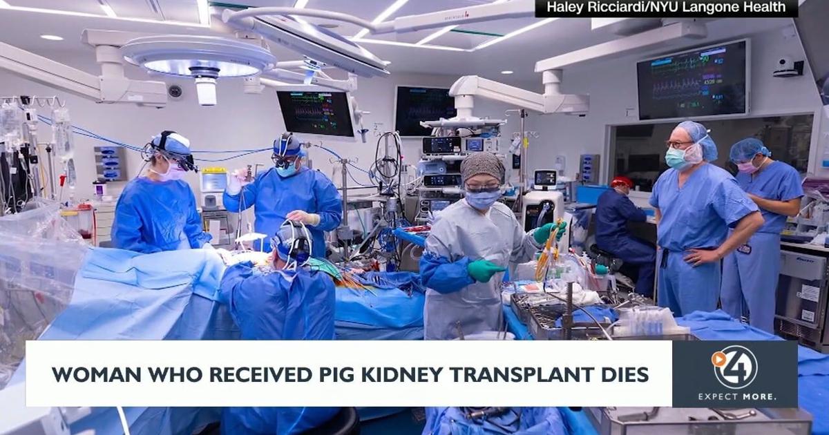 Woman who received pig kidney transplant dies | Video