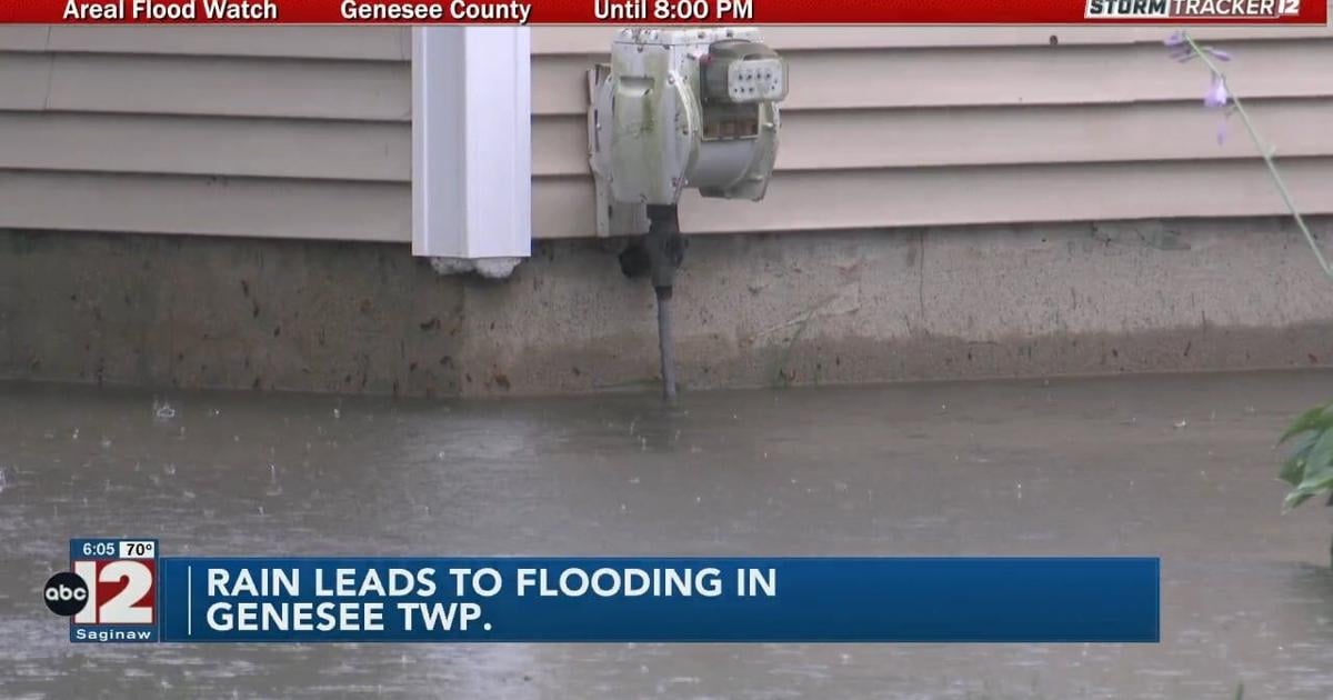 Heavy rains cause flooding in Genesee Township | Video