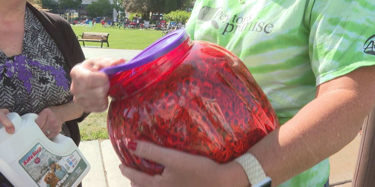 Peytons Promise collects pop tabs to help struggling families [Video]