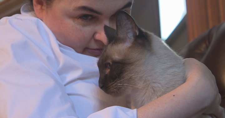 Clients raise concerns over animal care at Calgary pet hospital [Video]