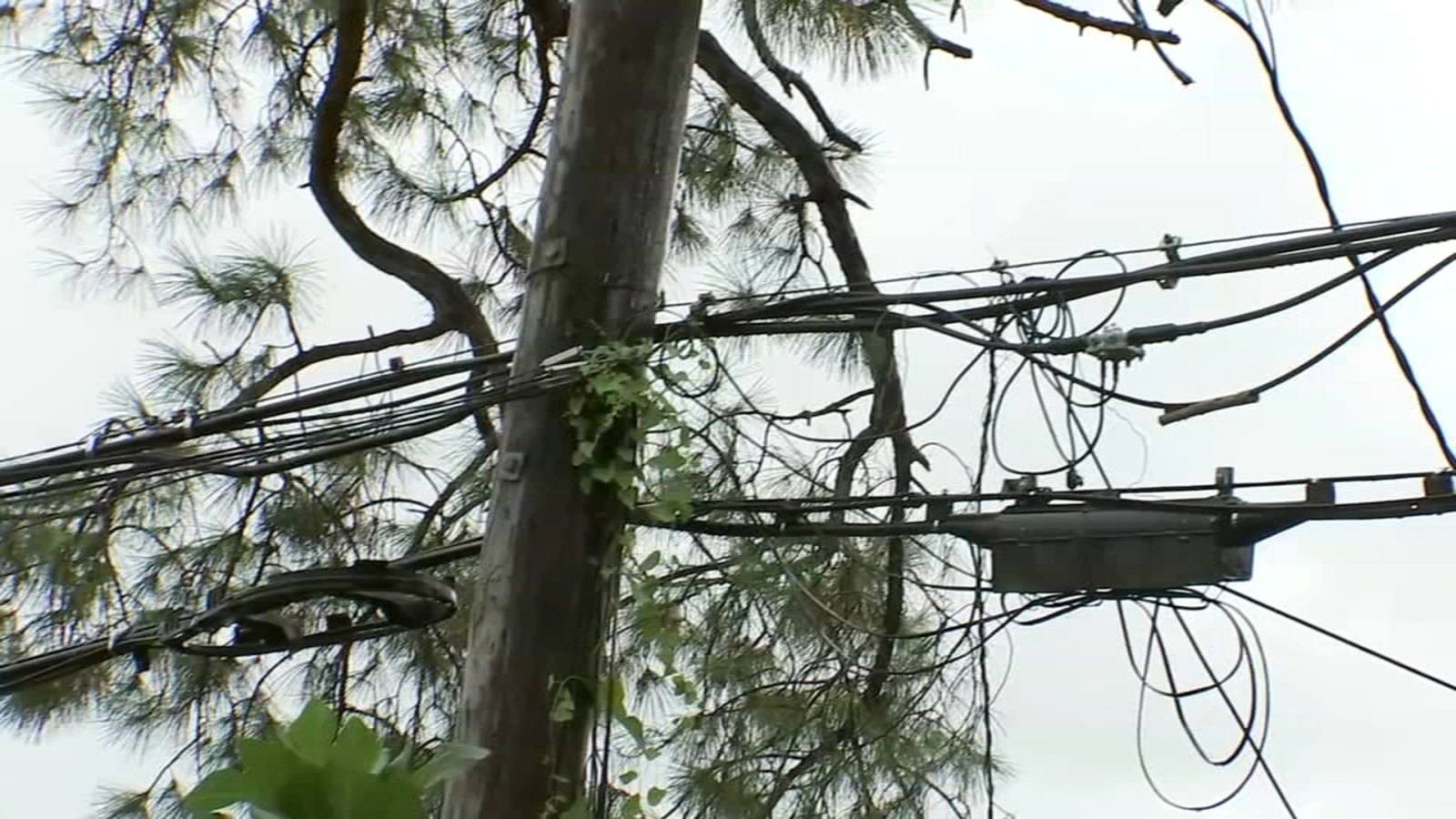 Priority designated to customers with a chronic illness or taking care of elderly parent during Beryl’s power outages [Video]