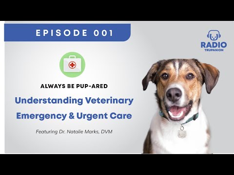 Understanding Veterinary Emergency & Urgent Care Part 2 | Dr. Natalie Marks, DVM | Radio Trupanion [Video]