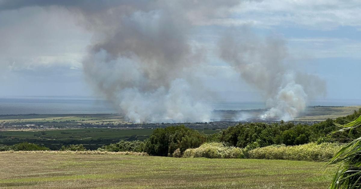 Brush fire burning near Hanapepe on Kauai; Evacuation urged | News [Video]