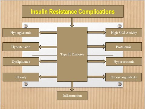 Cardiovascular Disease and Insulin Resistance – Part 75 [Video]