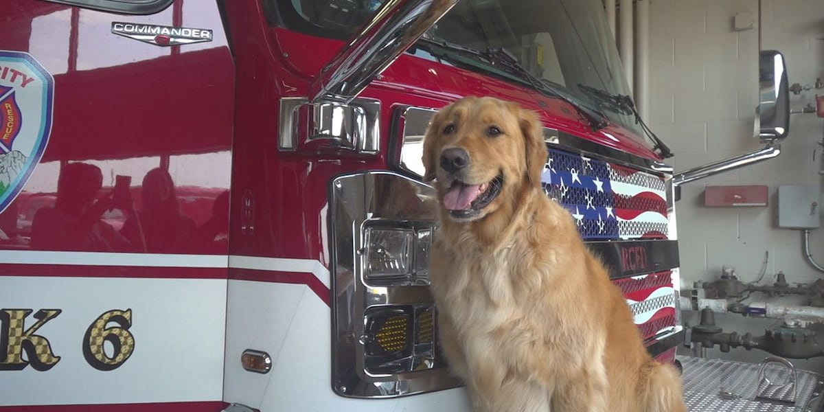 National Pet Fire Safety Day promotes awareness, preparedness for furry friends [Video]