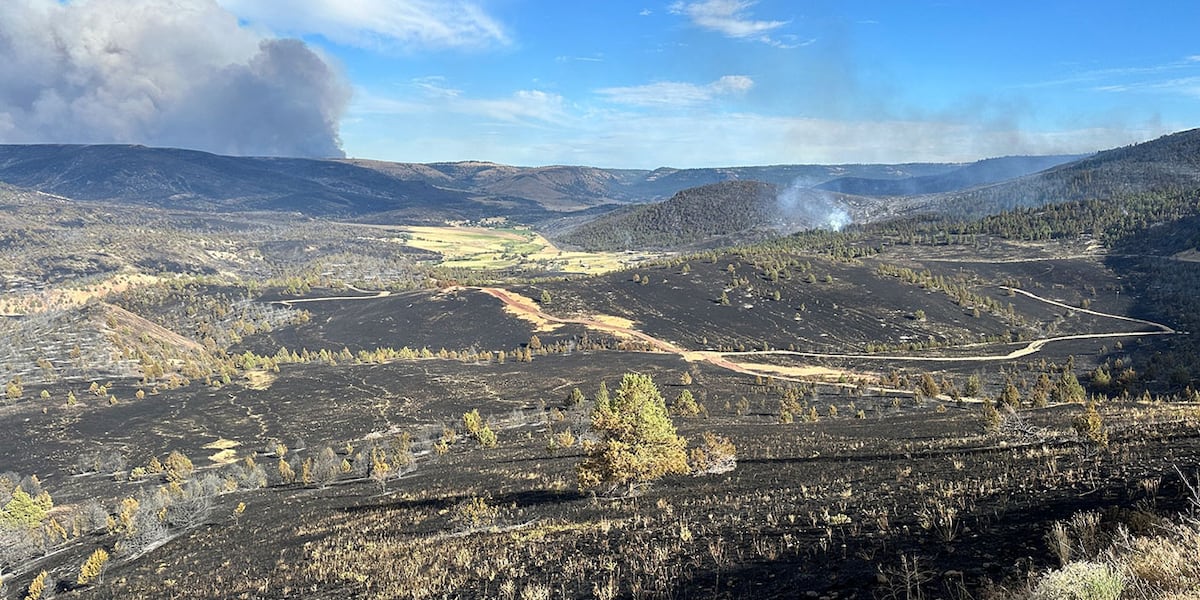Emergency Conflagration Act invoked for Lone Rock Fire [Video]