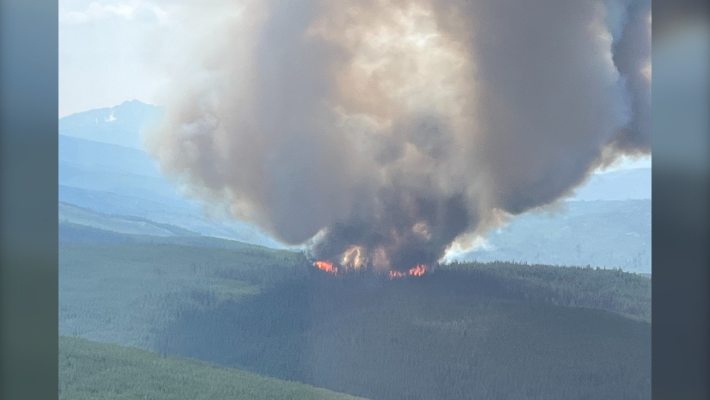 B.C. wildfires: Structures lost to Shetland Creek blaze [Video]