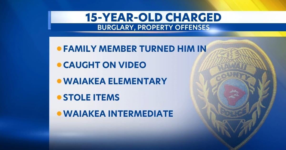 Hilo 15-year-old arrested for burglary, property crime at two school campuses | Crime & Courts [Video]