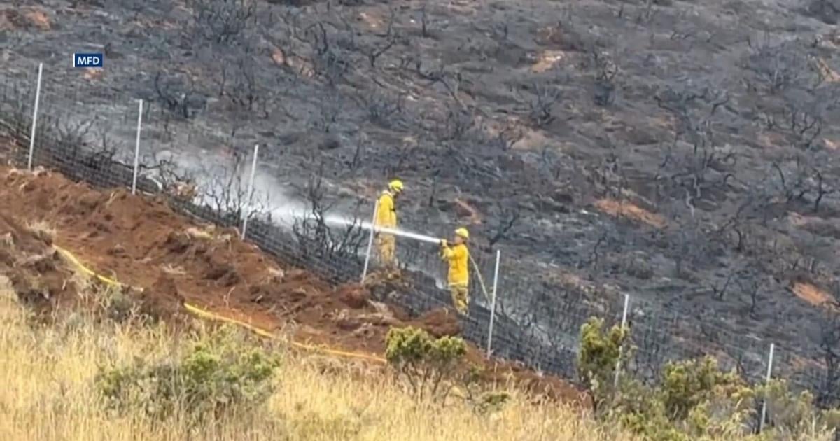 MFD contain 80% of the Crater Road Fire | Video