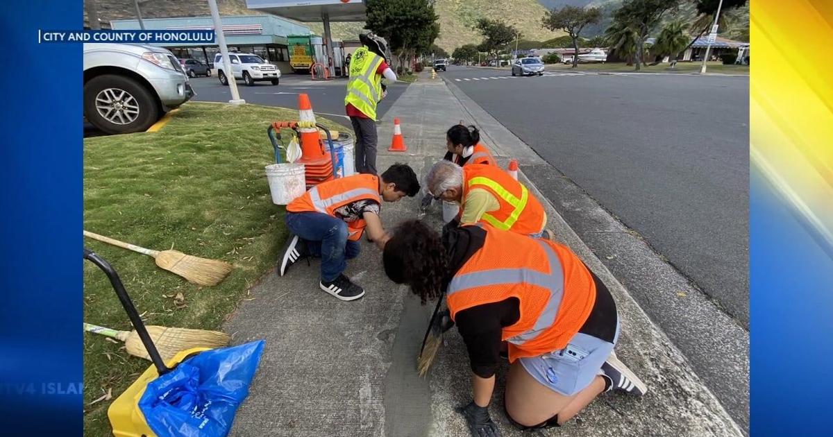 Koko Head Lions Club sidewalk repair in Niu Valley today | Video