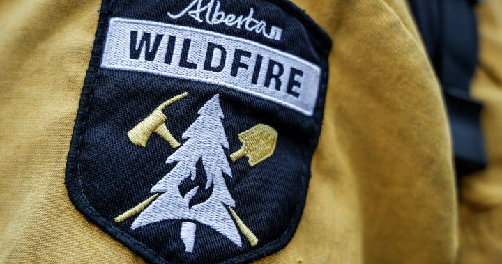 Jasper wildfire: These are the key things to grab in emergency evacuations [Video]