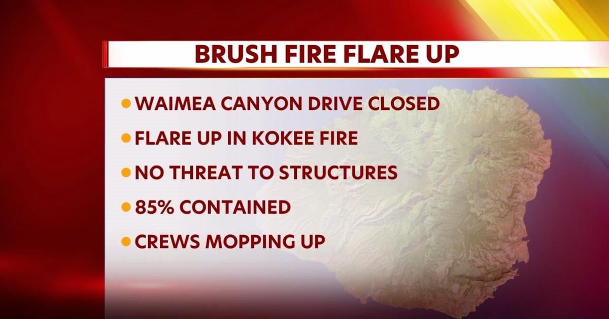 Waimea Canyon Dr. closed as DLNR responds to flare up in Kokee fire | Video