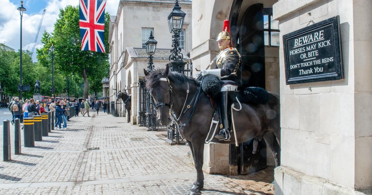 Horse in King Charles’ Guard Bites Tourist [Video]