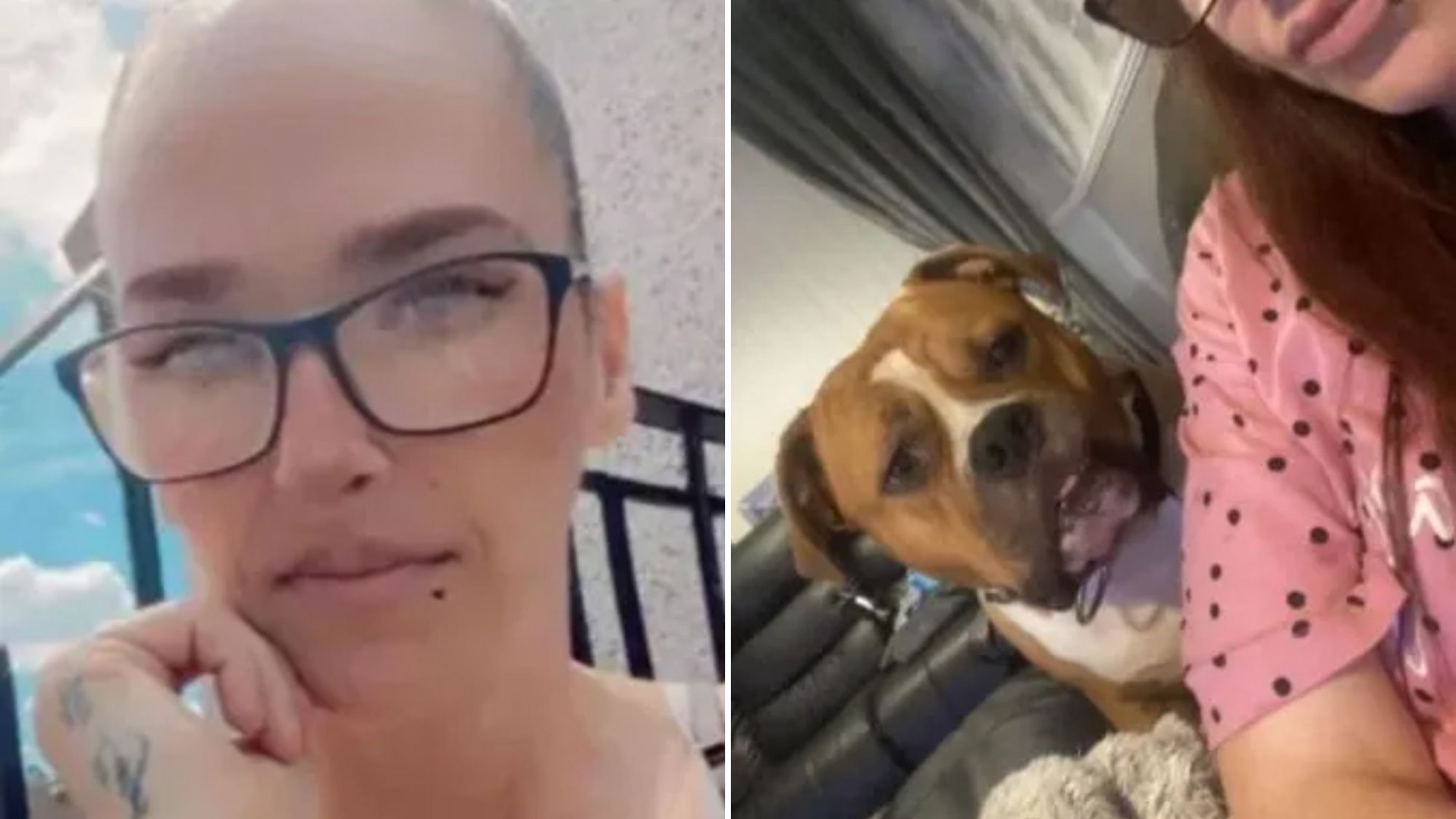Mum mauled to death by her pet dog was ‘suffering seizure’ when beast pounced as family pay tribute to ‘beautiful soul’ [Video]