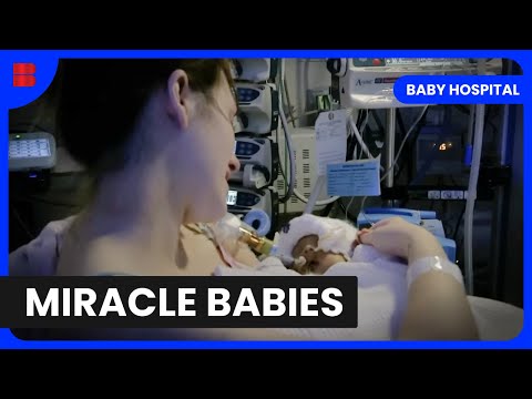 Inside Neonatal Intensive Care – Baby Hospital [Video]