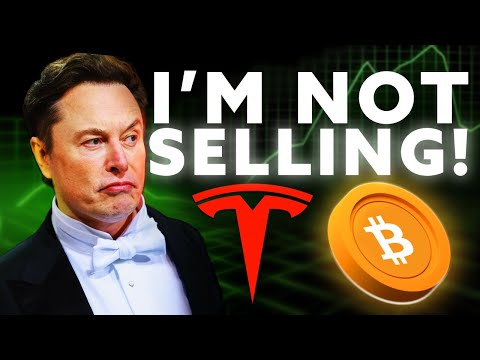 THE BITCOIN CRASH IS OVER. [Video]