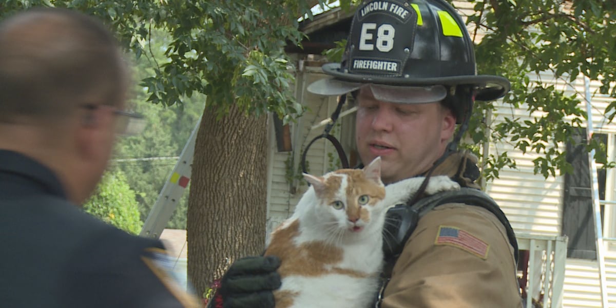 Two cats rescued from house fire in central Lincoln [Video]