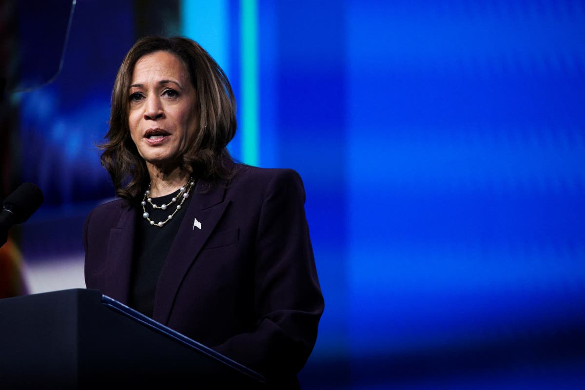 Kamala Harris now a threat to Trump in several major swing states, new polling finds [Video]
