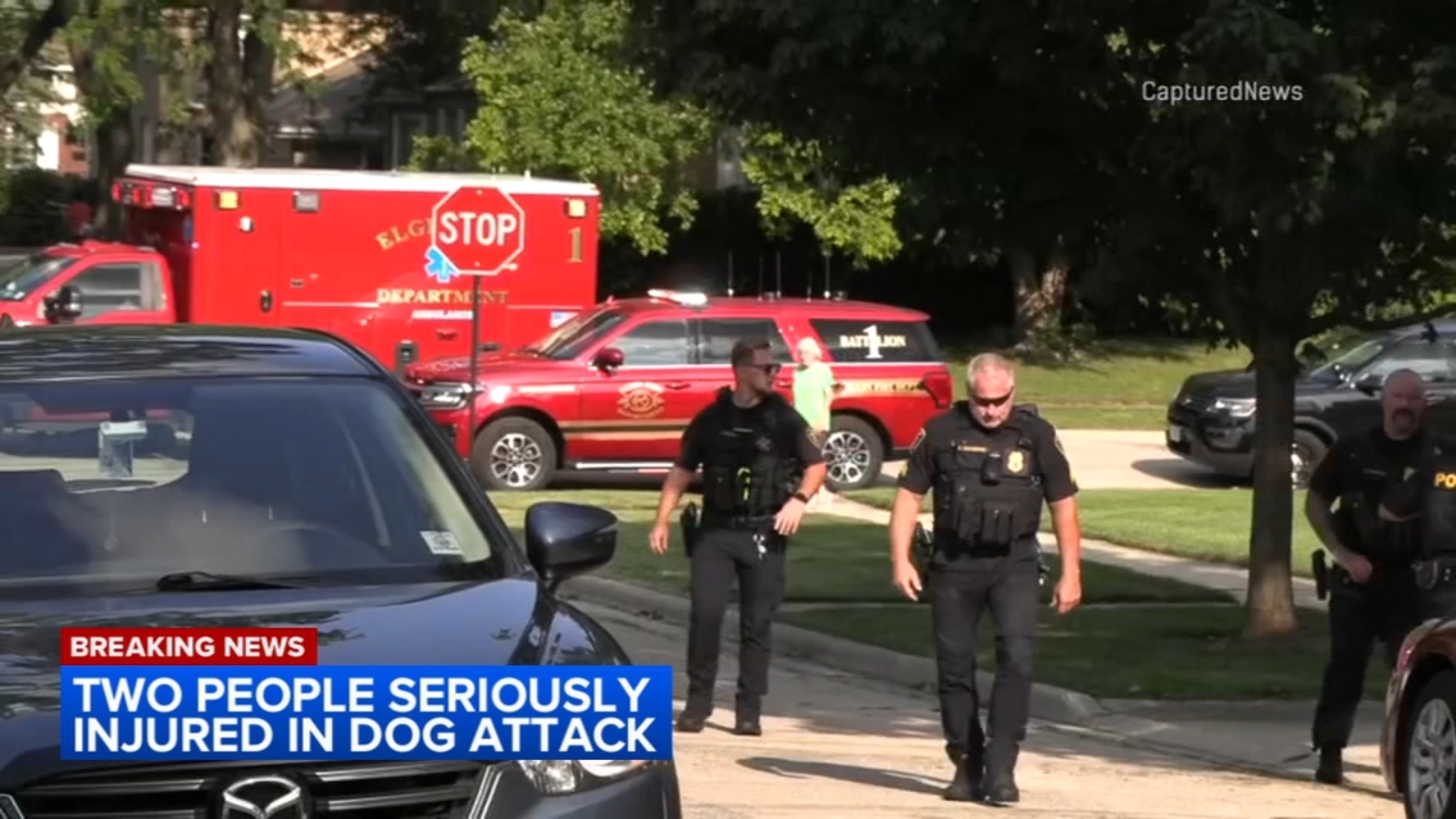 Elgin police shoot, kill dog that was attacking owners while on a walk; injuries are non-life threatening, officials say [Video]