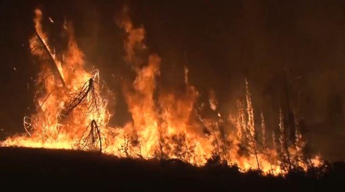 Brush fires surging in Seattle’s dried up areas [Video]