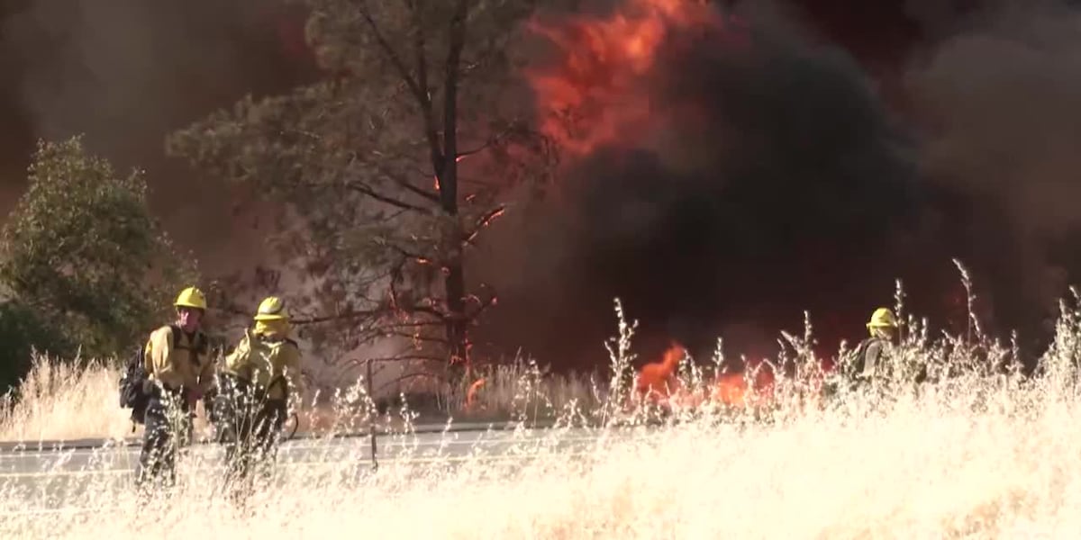 Rapidly growing wildfires harm air in much of US [Video]