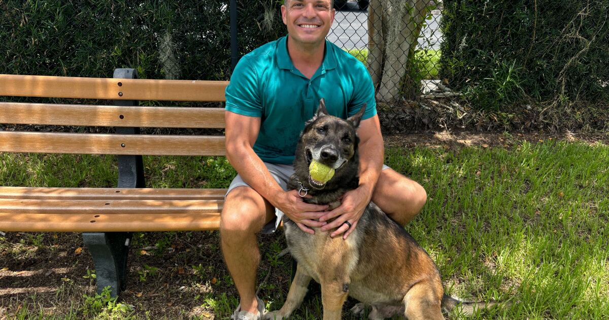 Tampa police officer saves K9 partner’s life, thanks community for support [Video]