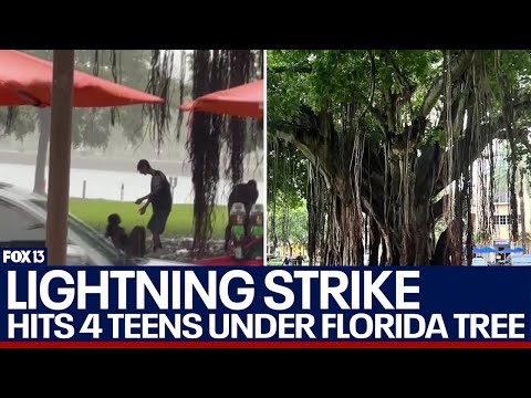 Four teenagers struck by lightning in vicious Florida storm [Video]