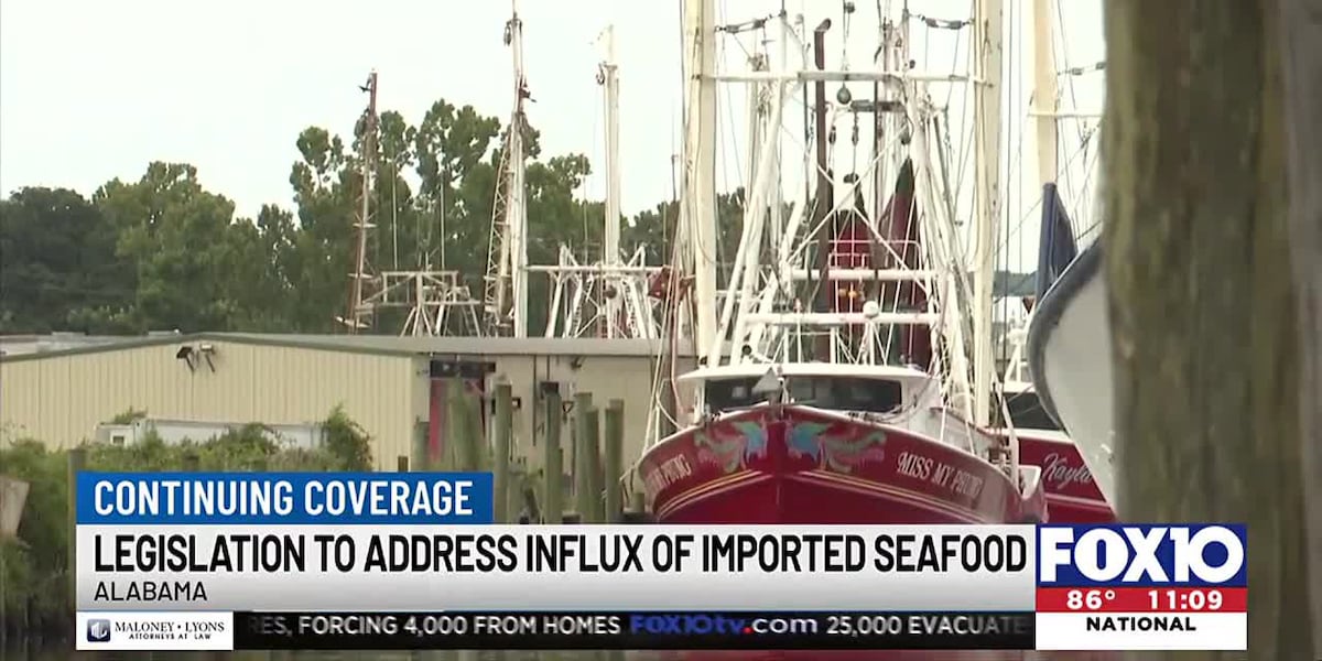 Alabama politician advocates for imported seafood inspection bill [Video]