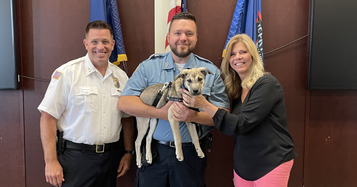 Cheektowaga Police are getting a new therapy dog and officer wellness program [Video]