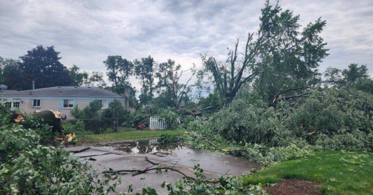 Livonia neighbors battling insurance companies following June tornado [Video]